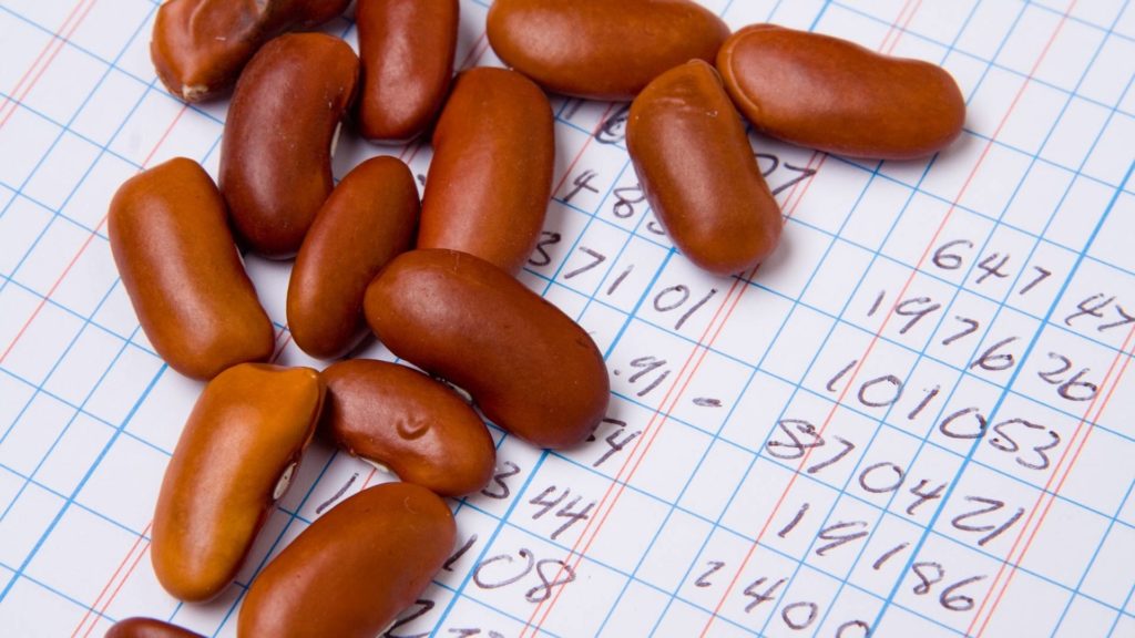 Accounting in the food and beverage processing industry represented by beans on a balance sheet.